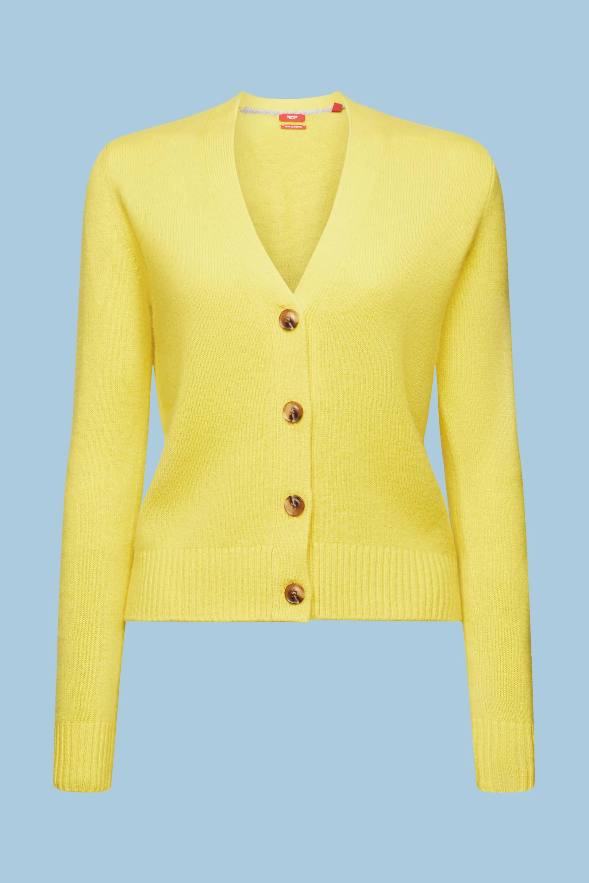 Cashmere in cashmere con scollo a V