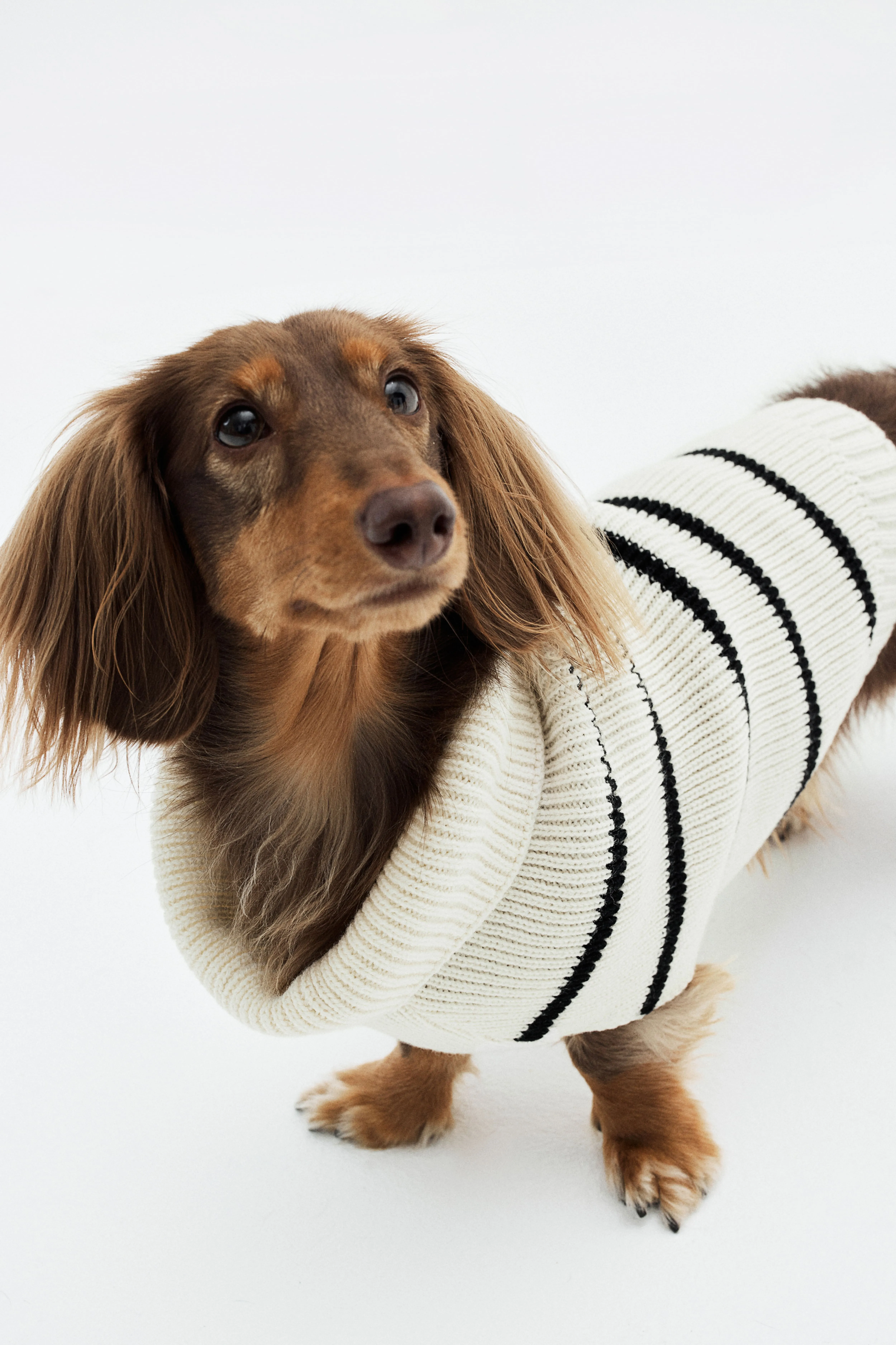 Pullover per cani in maglia a coste