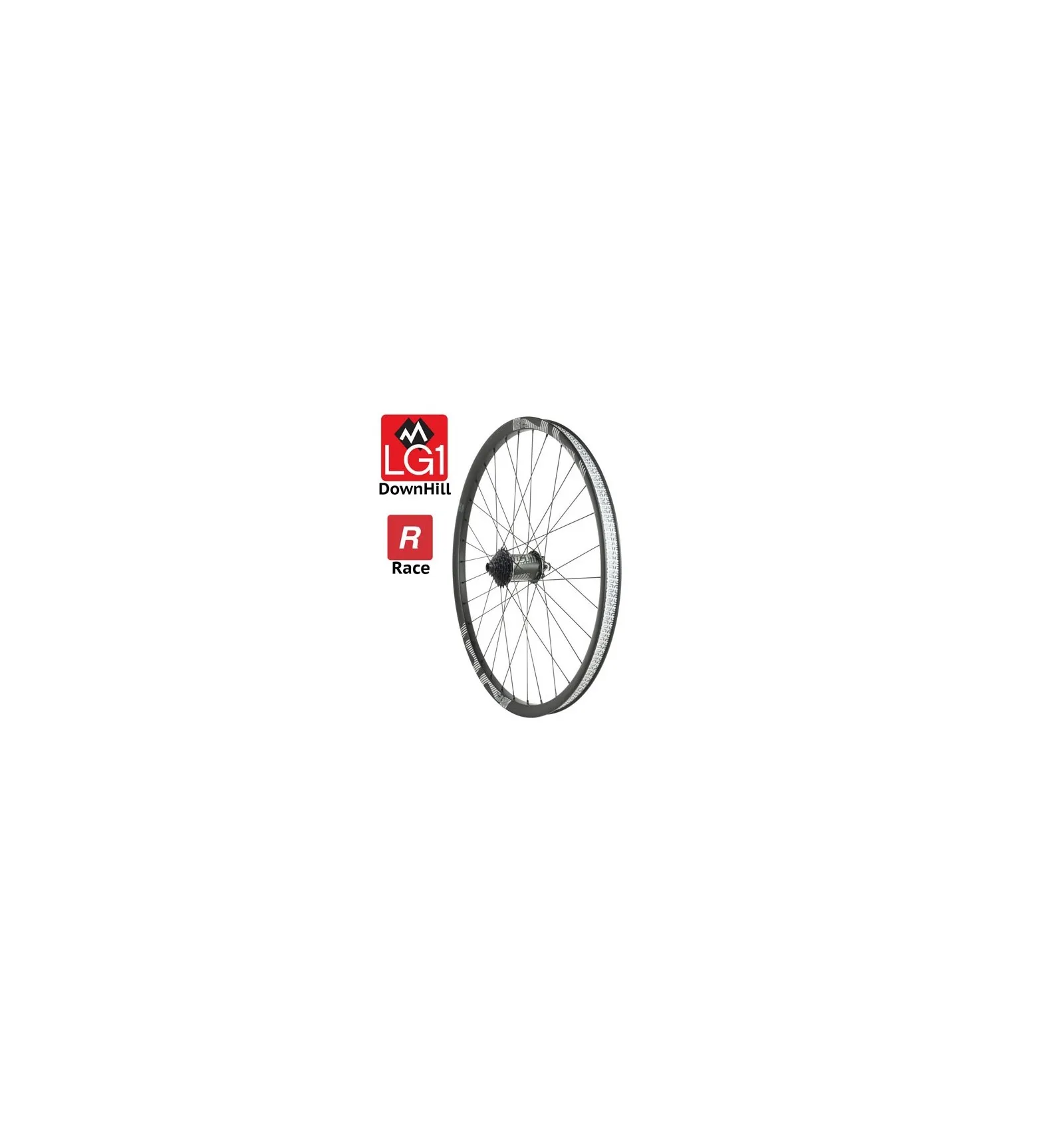 Ruota Posteriore Carbonio E*Thirteen LG1 Race Downhill 29" 7v